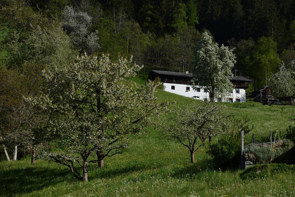 Pension Tina Neustift im Stubaital Buitenkant foto