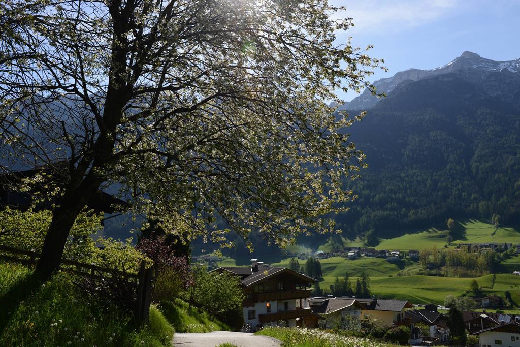 Pension Tina Neustift im Stubaital Buitenkant foto
