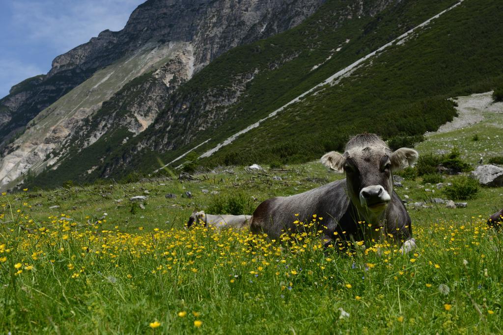 Pension Tina Neustift im Stubaital Buitenkant foto