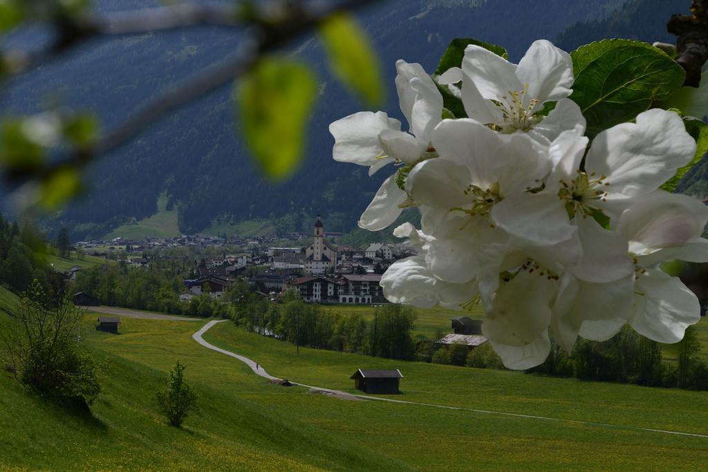 Pension Tina Neustift im Stubaital Buitenkant foto