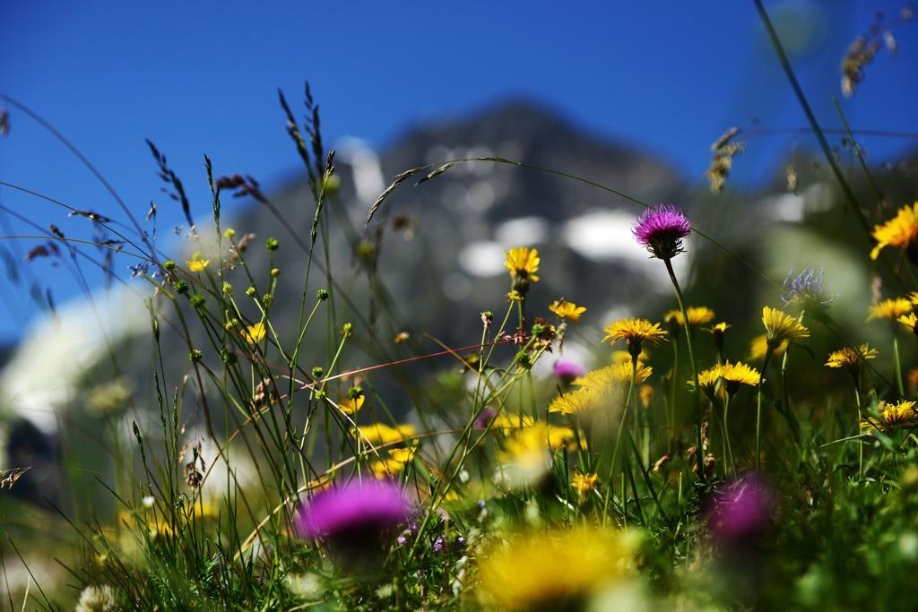 Pension Tina Neustift im Stubaital Buitenkant foto
